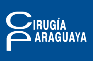 Más información acerca del sistema de publicación, de la plataforma y del flujo de trabajo de OJS/PKP.
